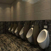 Urinal Divider